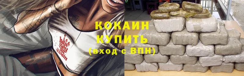 купить   Сафоново  Cocaine 99% 