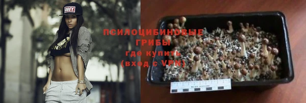 ECSTASY Нязепетровск
