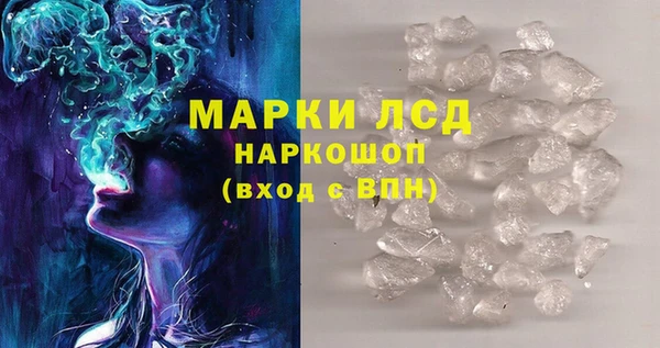 гидропоника Новозыбков