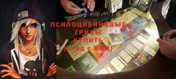 гидропоника Новозыбков