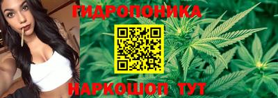 трава Бийск