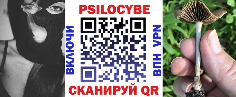 ОМГ ОМГ вход Сафоново Псилоцибиновые грибы Psilocybine cubensis