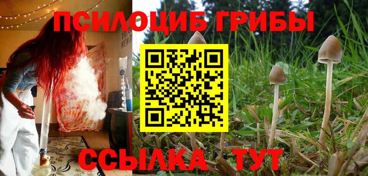Сафоново  Галлюциногенные грибы мицелий  Вход с VPN  Галлюциногенные грибы ЛСД 