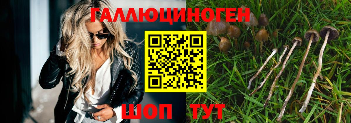 Псилоцибиновые грибы мухоморы  закладка  Сафоново 